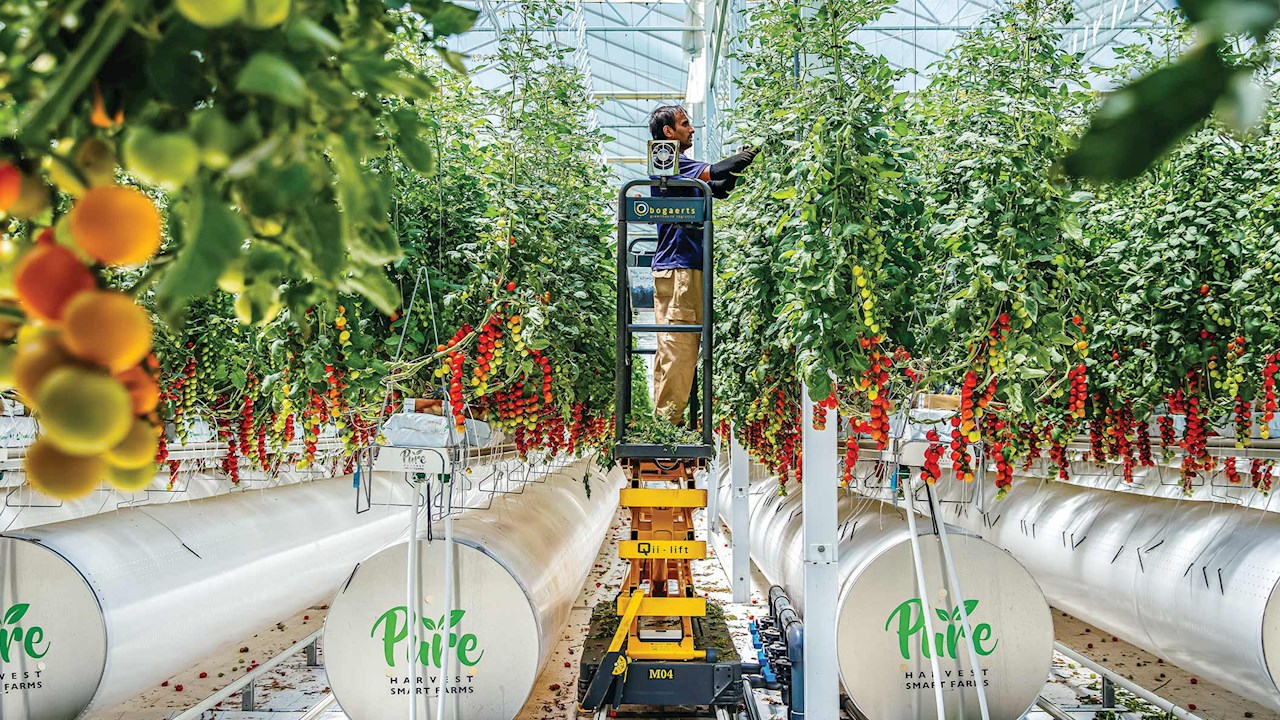 Pure Harvest smart farms thrive with ABB Ability Energy Manager